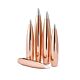 HORNADY PALLE A-TIP 