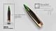NOSLER BALLISTIC TIP 284