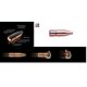 RWS PALLE 270 9.7G KS (.277) 150GR 14642