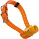 Canibeep arancio Pro Radio - Canicom collare aggiuntivo